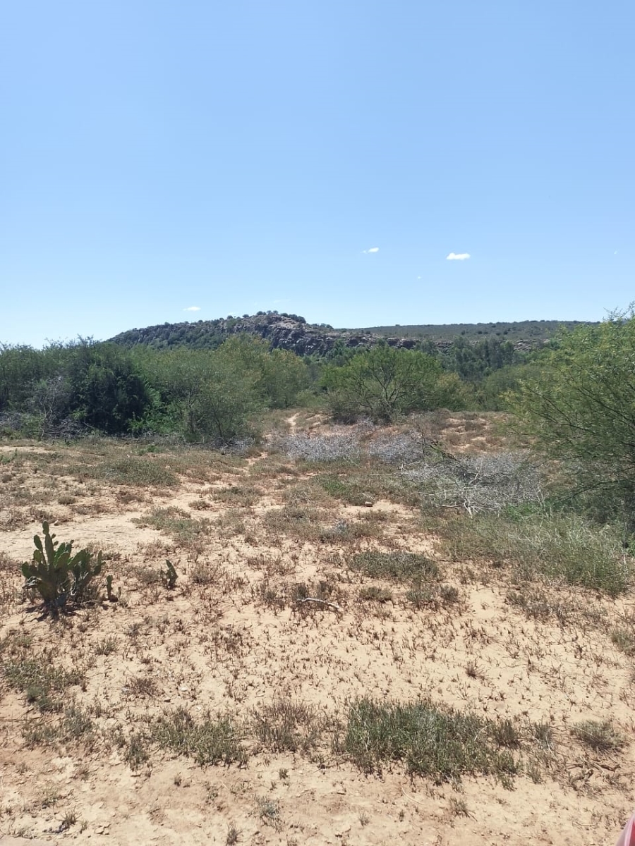 Commercial Property for Sale in Bushmans Sands Golf Estate Eastern Cape